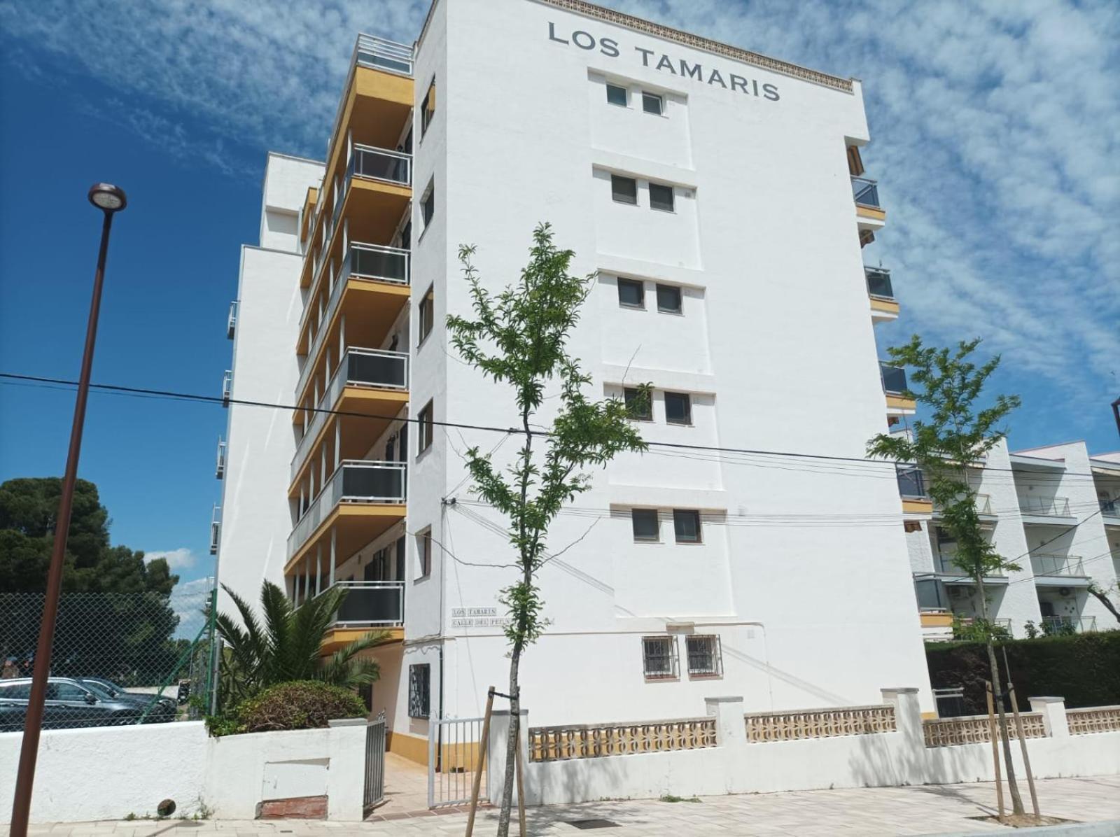 Miami Apartamento Mestres Миами-Плайя Экстерьер фото